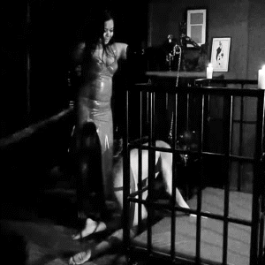 on leash slave domination femdom mistress cage training #103332546