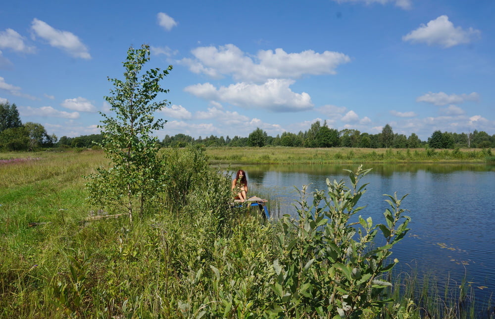 On planket of Koptevo-pond #90172555