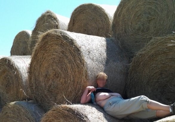 Lets go for a role in the hay #93684134