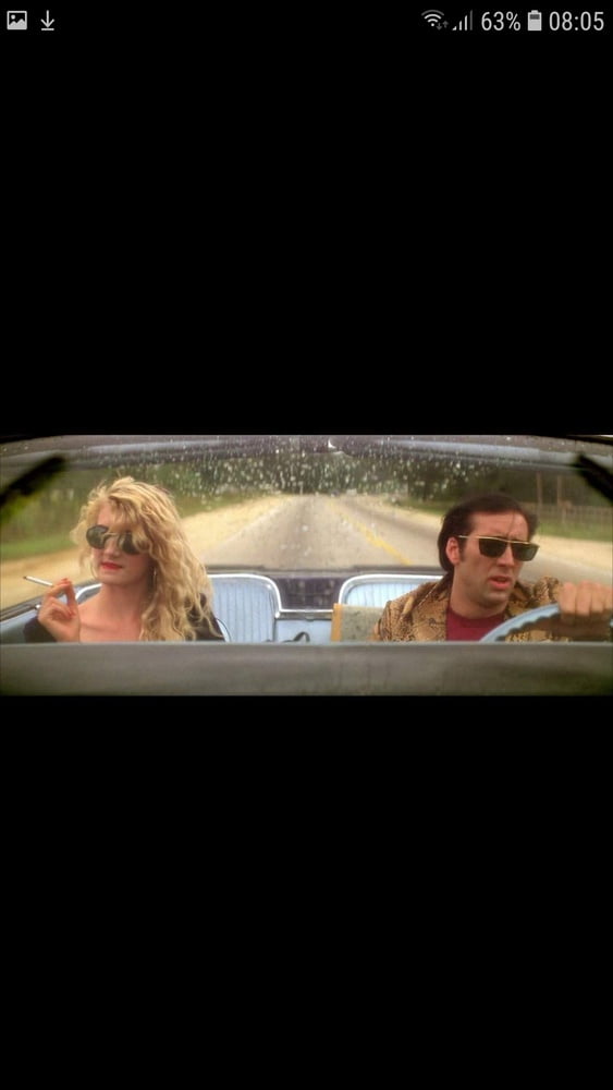 Taradiddeling
 #88862742