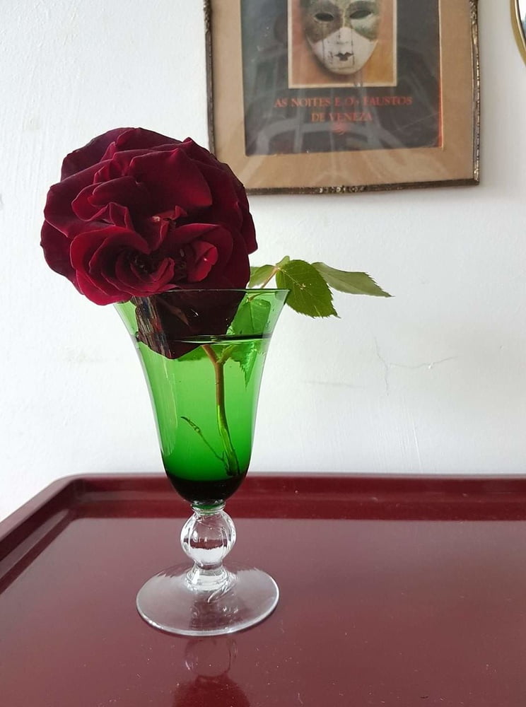 Taradiddeling
 #88862748