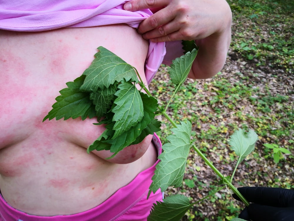 Brennnesseln en las tetas #106392507