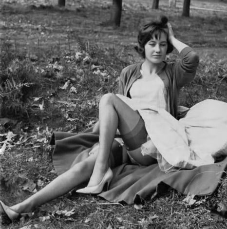 Medias de la vendimia 47
 #98576597