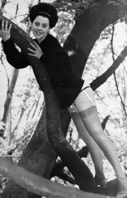 Medias de la vendimia 47
 #98576621