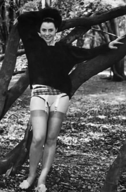 Medias de la vendimia 47
 #98576639