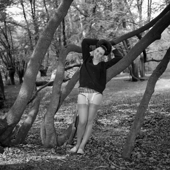 Medias de la vendimia 47
 #98576654