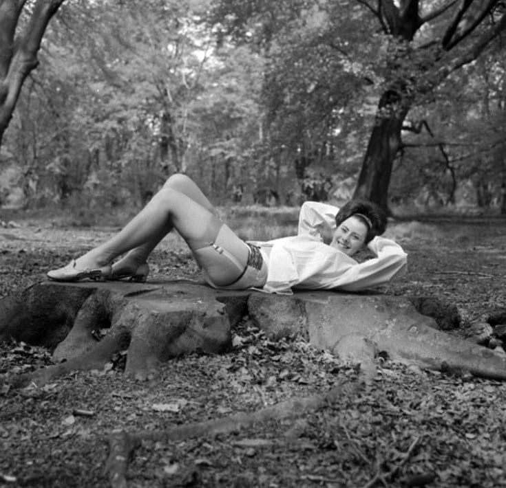 Medias de la vendimia 47
 #98576666