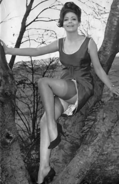 Medias de la vendimia 47
 #98576778