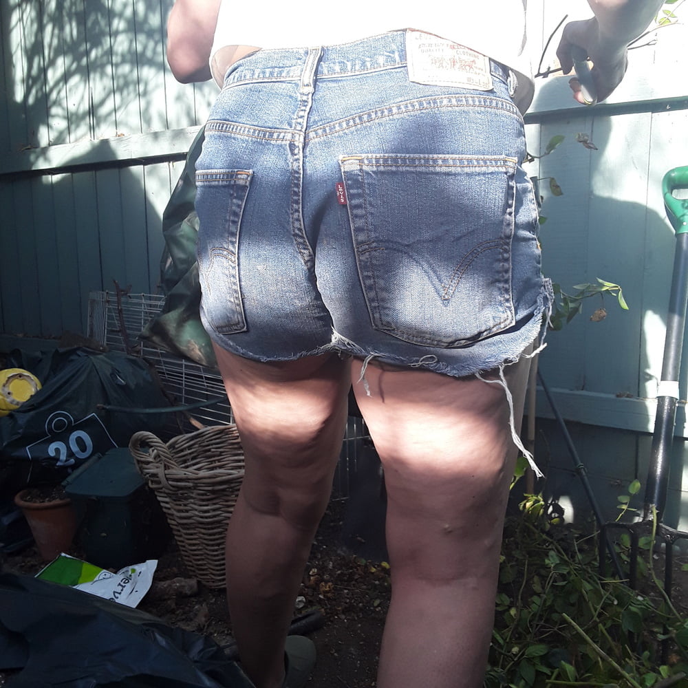 The Mrs in Levis 525 Jean Shorts Daisy Dukes #89878734