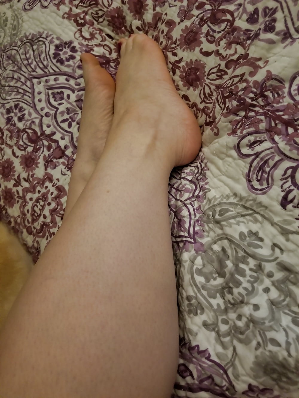 Füße, Beine, Fersen und Stiefel der süßen sexy Hausfrau
 #106605640
