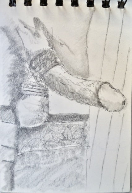 Les dessins
 #101240809