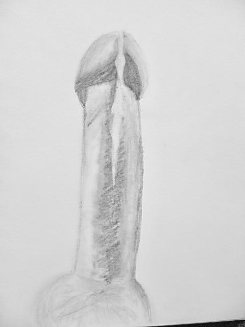 Les dessins
 #101240830