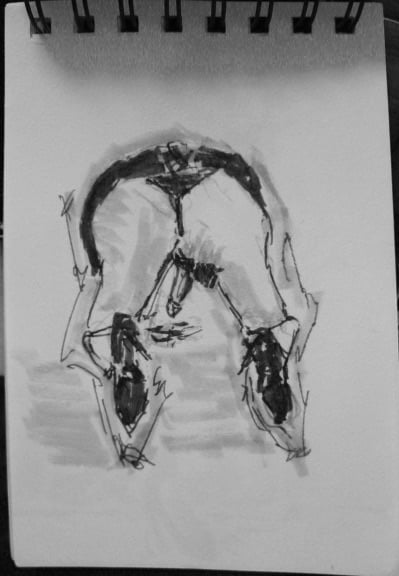 Les dessins
 #101240847