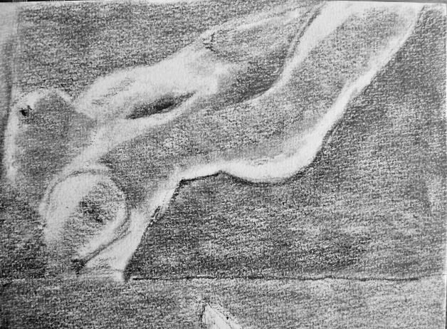 Les dessins
 #101240864