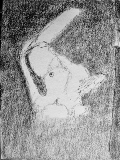 les dessins #101240870