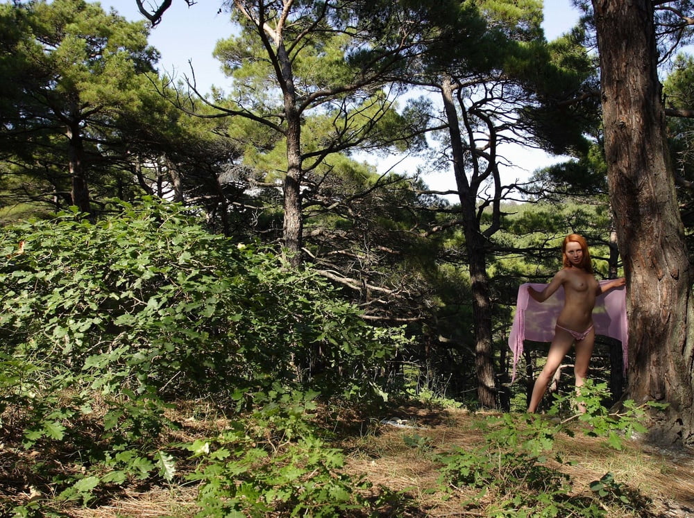Tree Huggers 370 #91383050