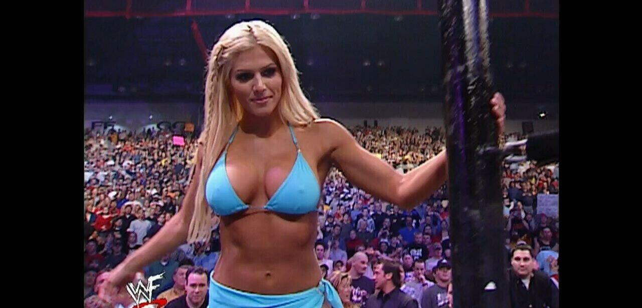 Torrie Wilson nuda #108465824