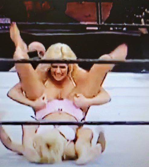 Torrie Wilson nuda #108466402