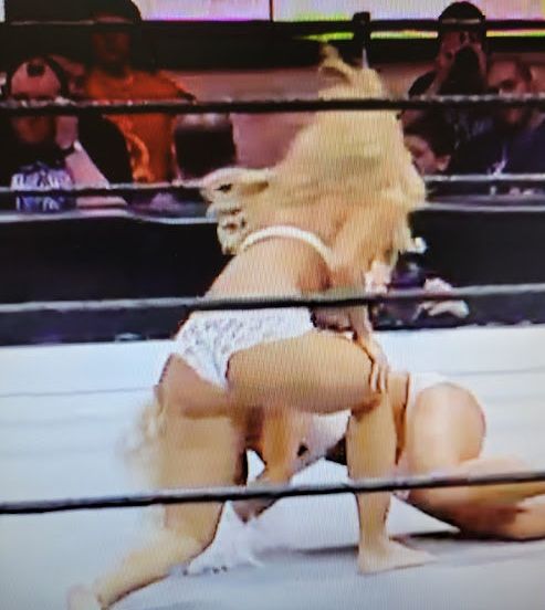 Torrie Wilson nude #108466412