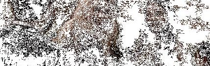 Emmanuelle Chriqui desnuda #109280637