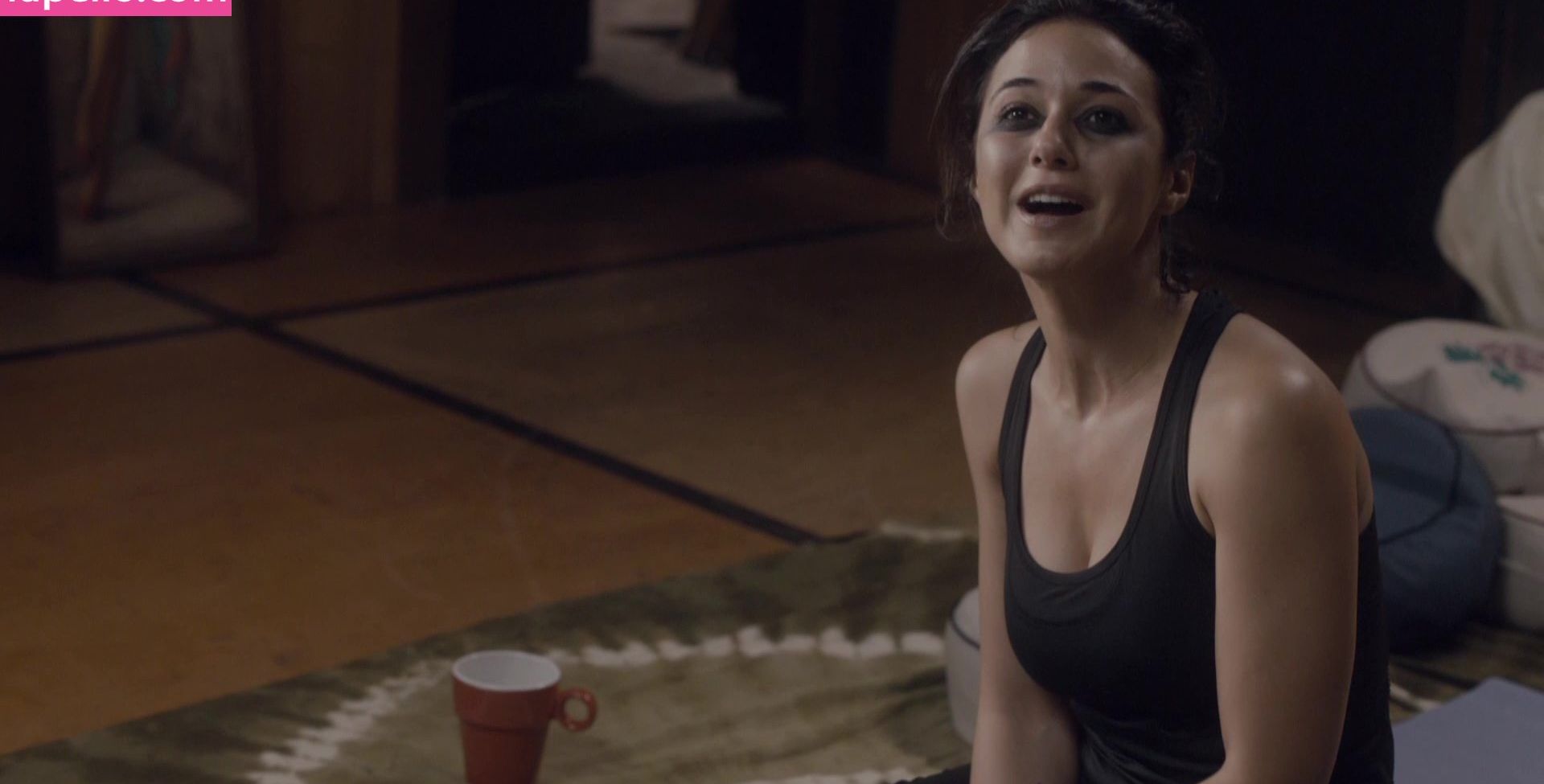 Emmanuelle Chriqui desnuda #109280662