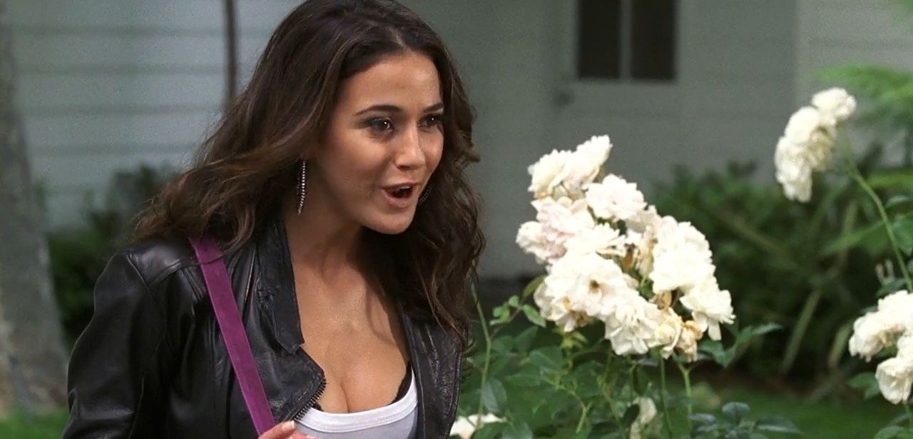 Emmanuelle Chriqui desnuda #109280736