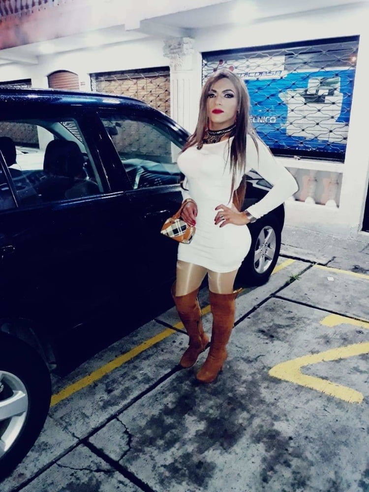 Hermosas transexuales
 #101580206