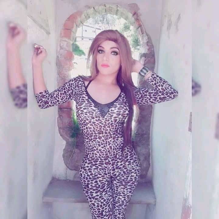 Hermosas transexuales
 #101580217