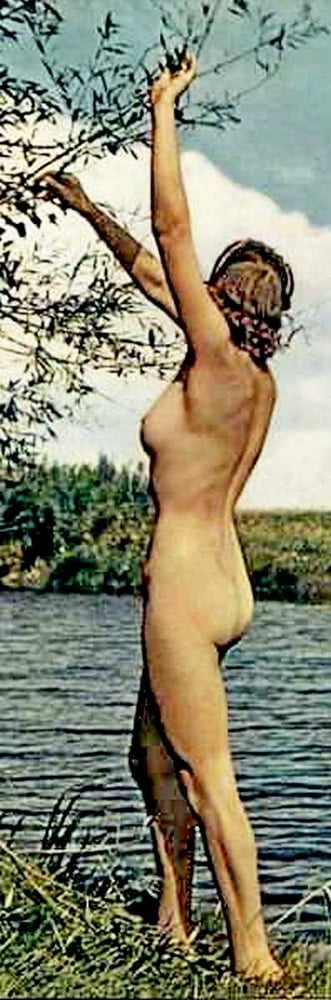 Nude woman hairy body #101991300