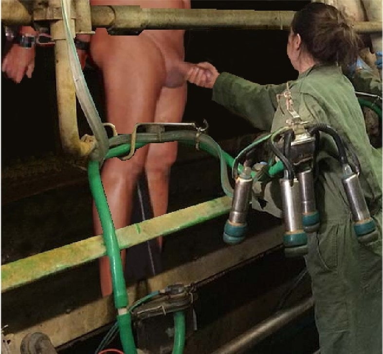 BDSM milking  man #93779040
