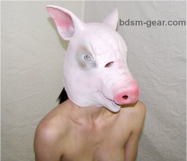 Bdsm-Schweine
 #101869880