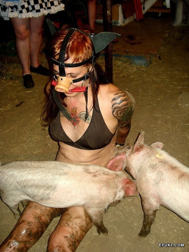 Bdsm-Schweine
 #101869892