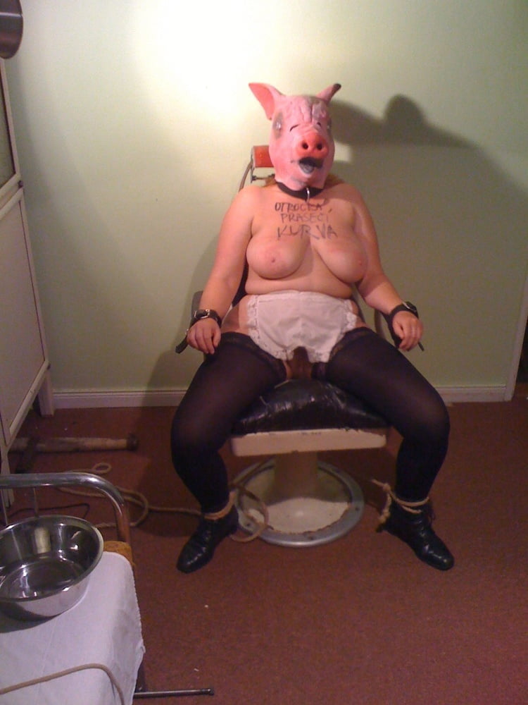 BDSM pigs #101869899