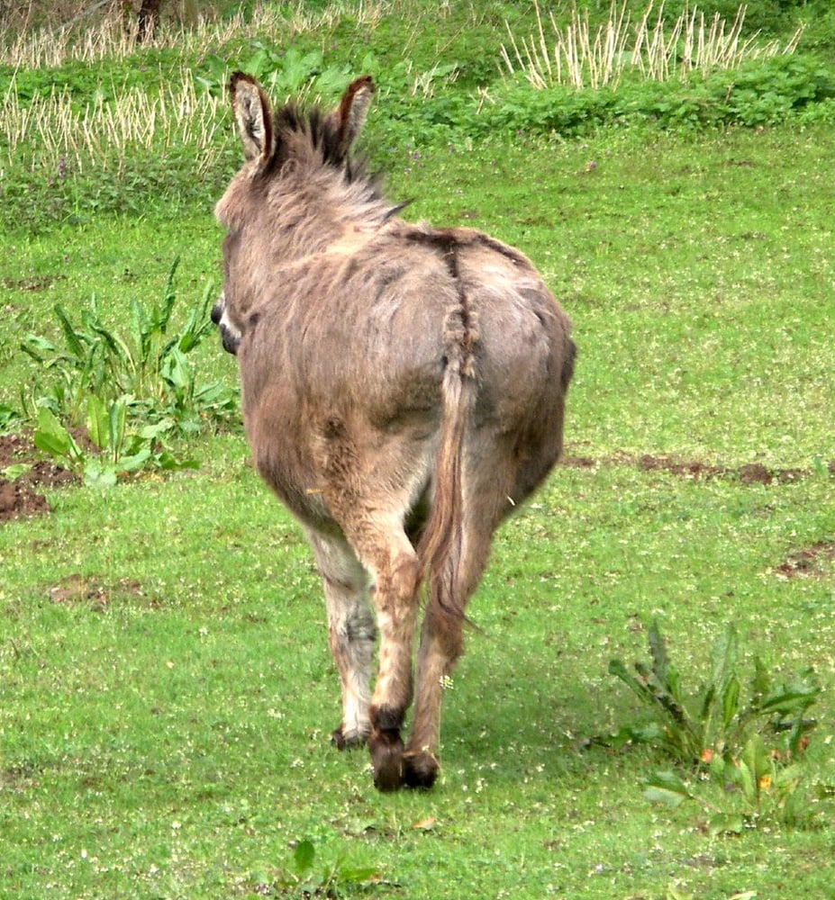 Some of the best Ass on the web #103659707