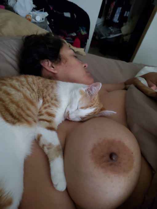 Dulce latina expuesta.
 #98595406