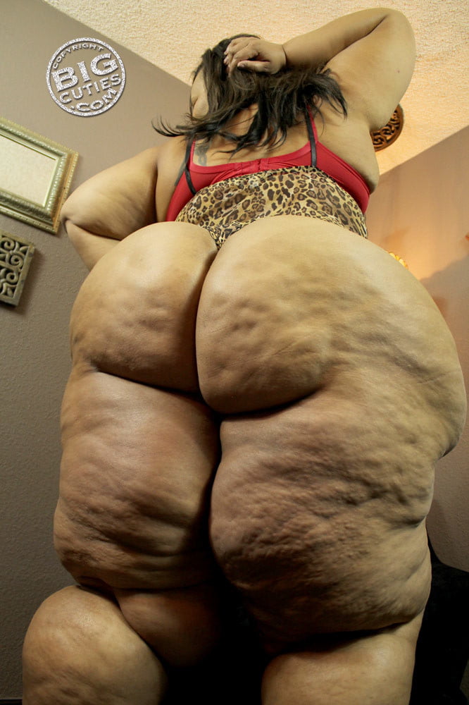 Ssbbw tastey ass
 #104546283