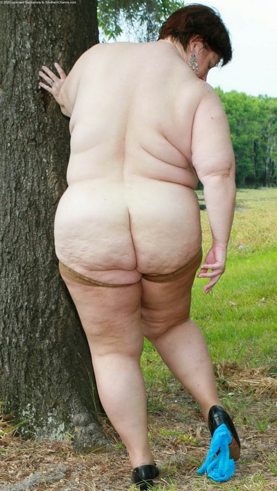 Ssbbw tastey ass
 #104546439