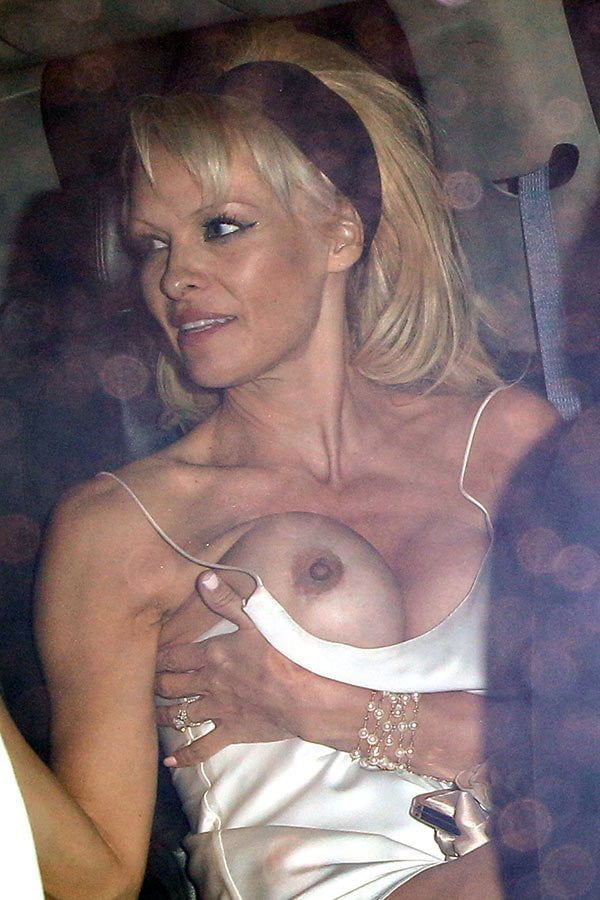 Celebrity ..  Pamela anderson nude pics #89246513