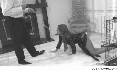 Für meine Meister
 #96295656