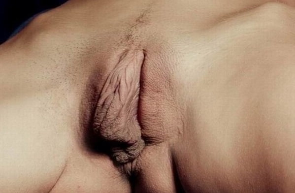 不思議な未来
 #105995432