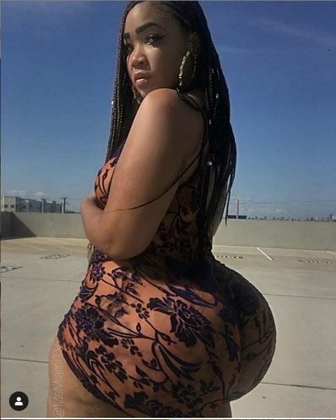 msmiami #106169799