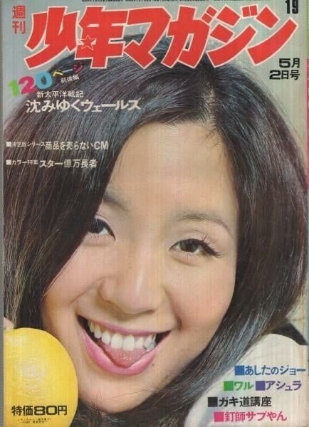 Casebook 021b #87506091