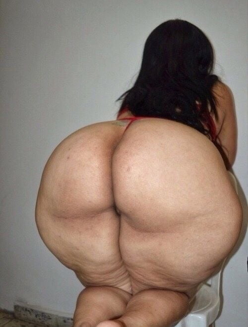 Asses I would bust a nut over #102133071