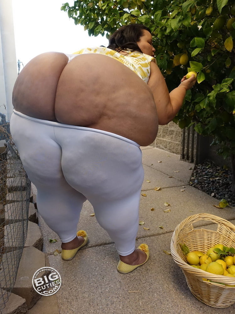 Asses I would bust a nut over #102133197