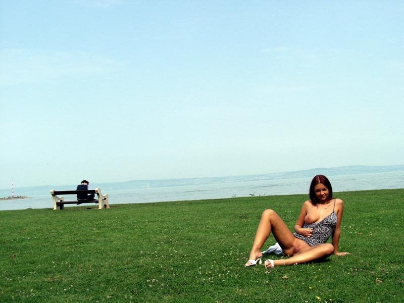 ハンガリー・シオフォク
 #94364994