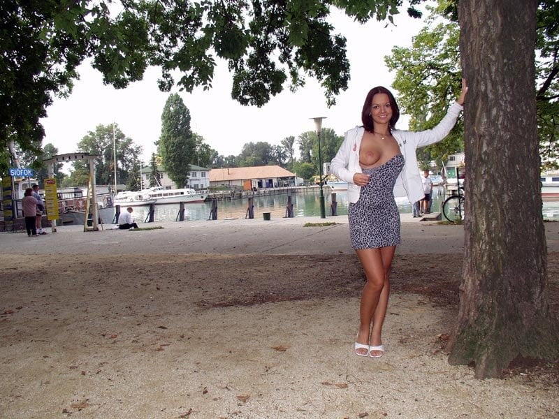 ハンガリー・シオフォク
 #94365182