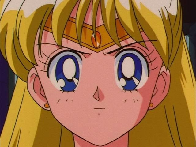 The Female Characters of: Sailor Moon #105782507