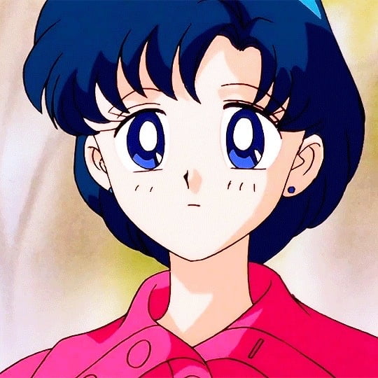 The Female Characters of: Sailor Moon #105782548
