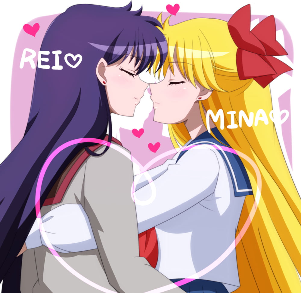 The Female Characters of: Sailor Moon #105782606