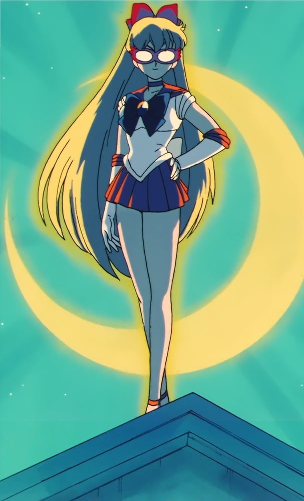 The Female Characters of: Sailor Moon #105782608